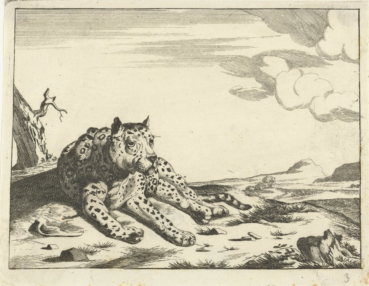 Önden görülen leopar, bacaklar sağda by Anonymous