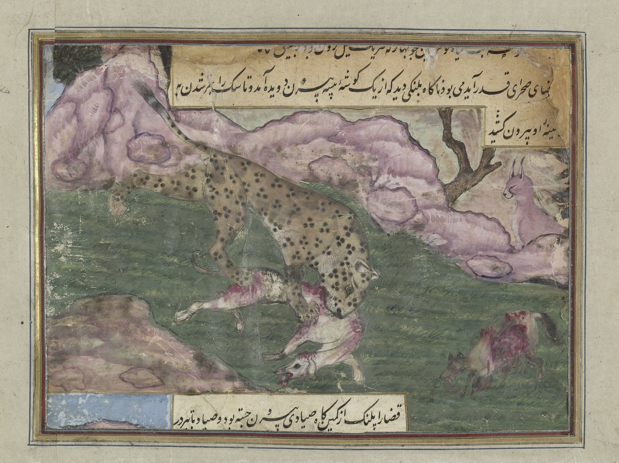 leopar bir köpeği öldürür by Anonymous