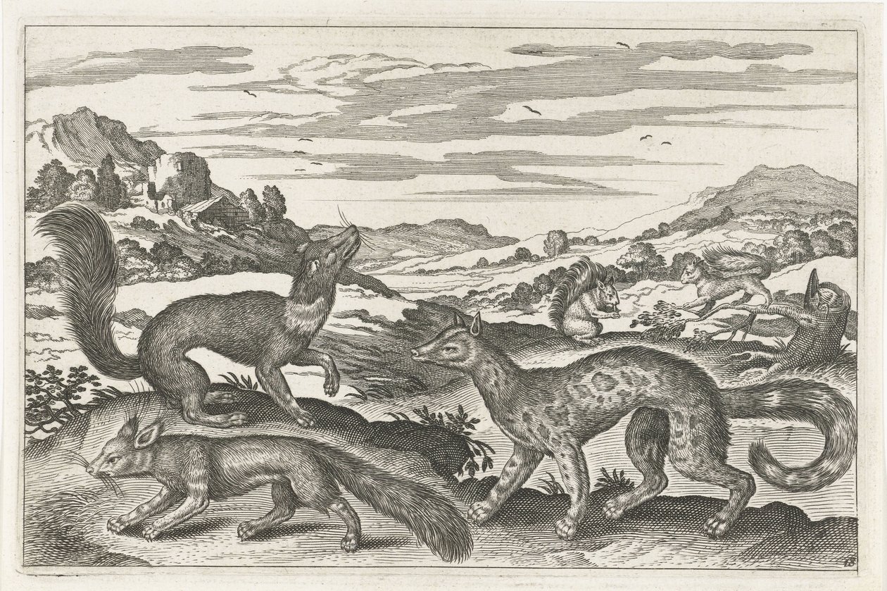 Martens, sincap ve tilki Dört ayaklı hayvanlar (dizi adı) Animalivm Qvaddrvpedvm (dizi başlığı) by Anonymous