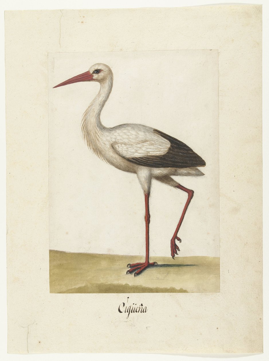 Ooievaar Cigüeña (nesne üzerindeki başlık) Lombard albümü (seri başlığı) by Anonymous