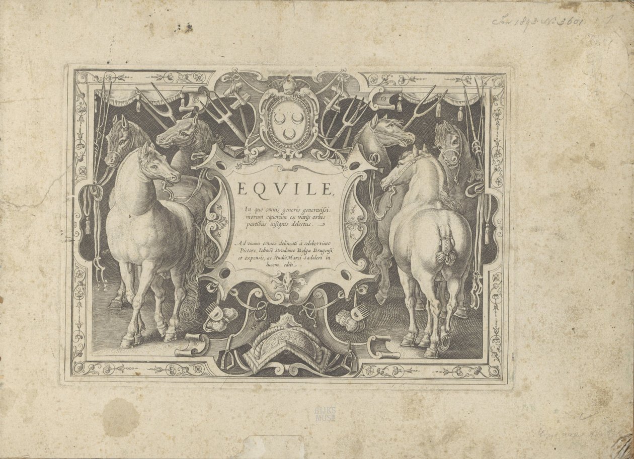 Ornamenteel cartouche titel geflankeerd kapı paarden Equile ile bir araya geldi by Anonymous