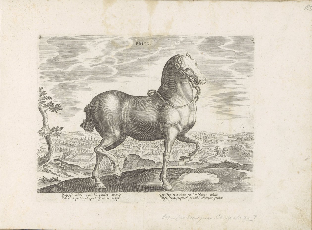 Engeland Brito (nesne üzerindeki başlık) Paardenrassen uit de Koninklijke stallen van Don Juan van Oostenrijk (seri başlığı) Equile by Anonymous