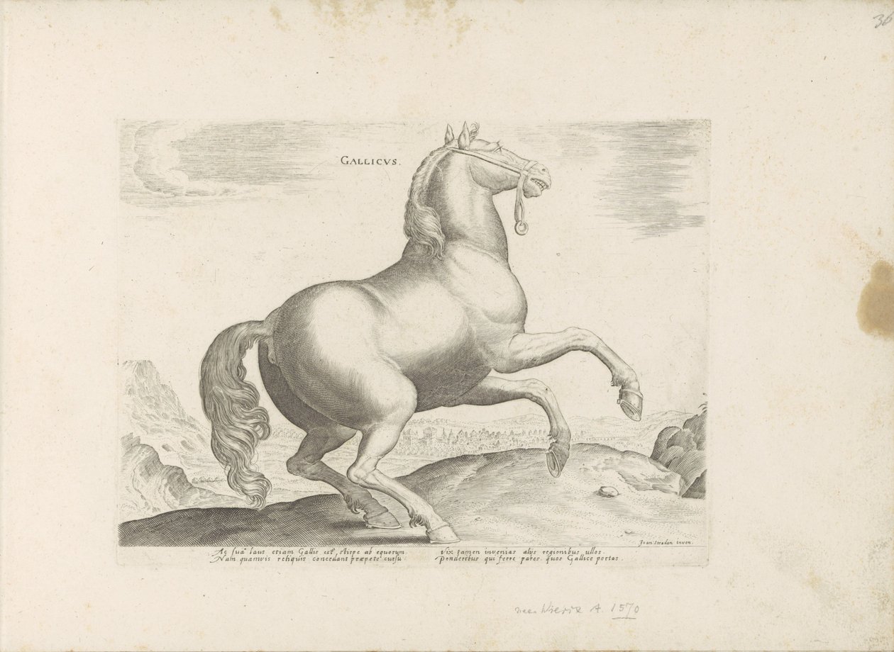 Paard, Frankrijk