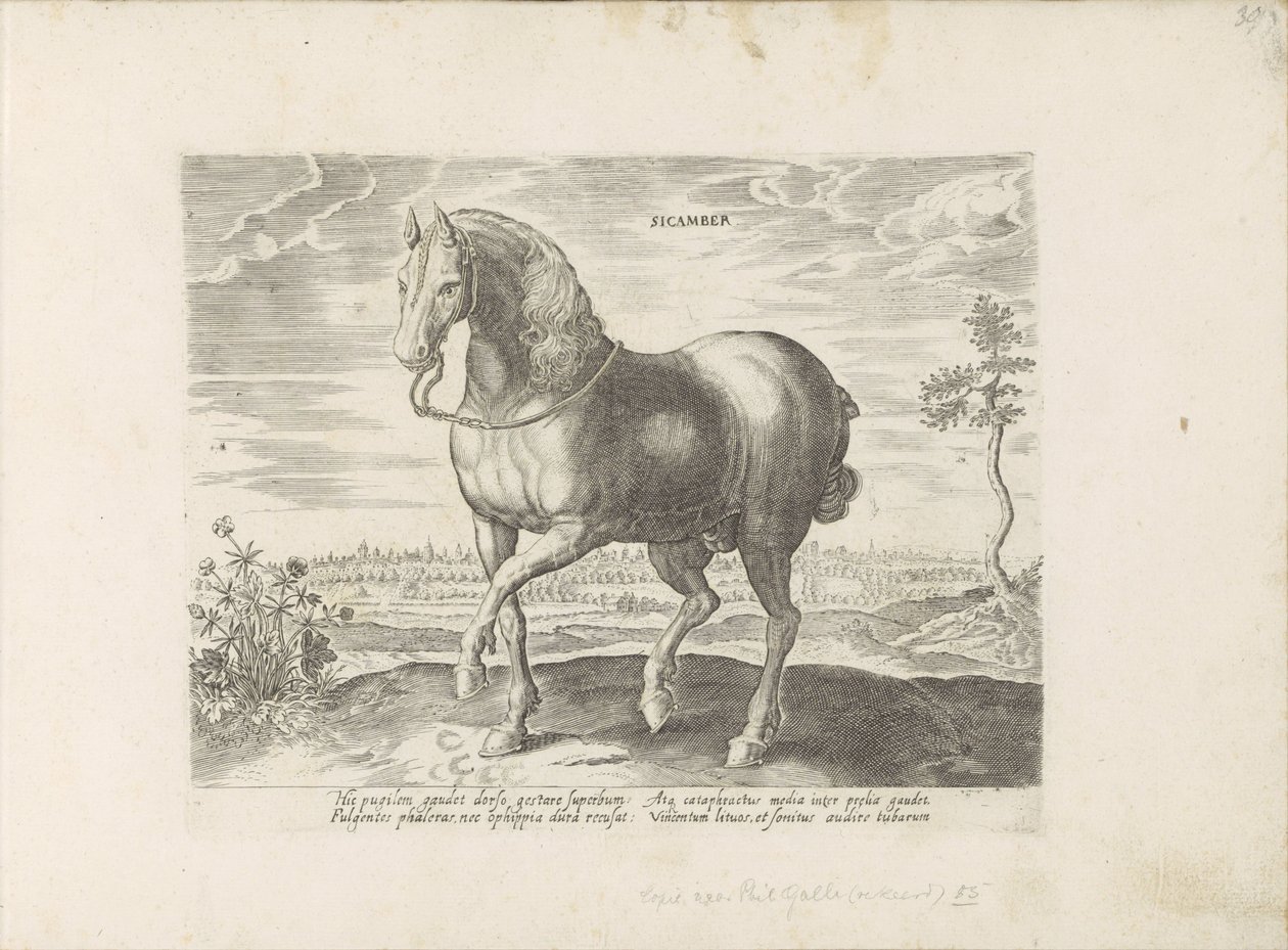 Paard Gelre