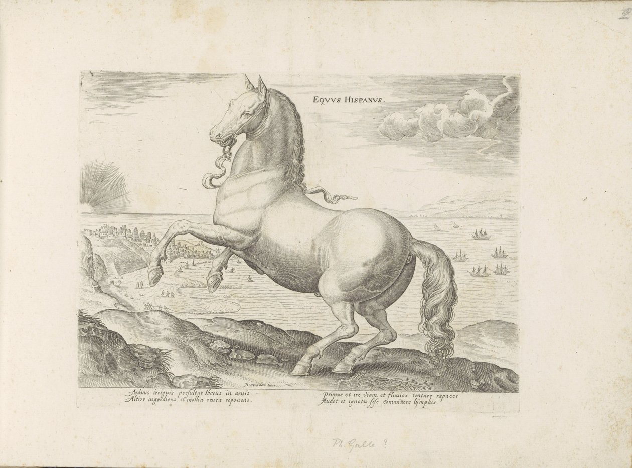 Paard Spanje