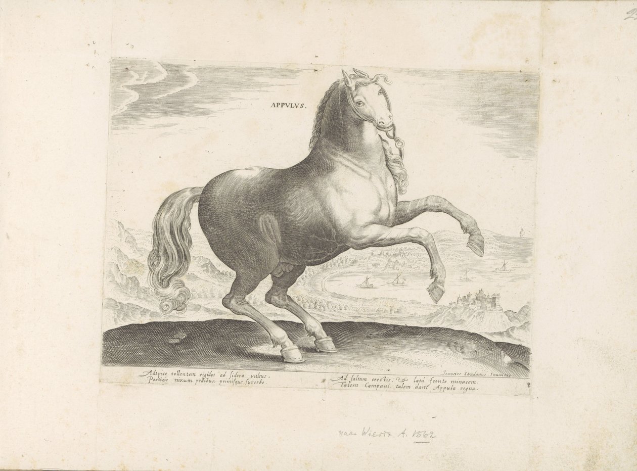 Paard, Zuid-Italië