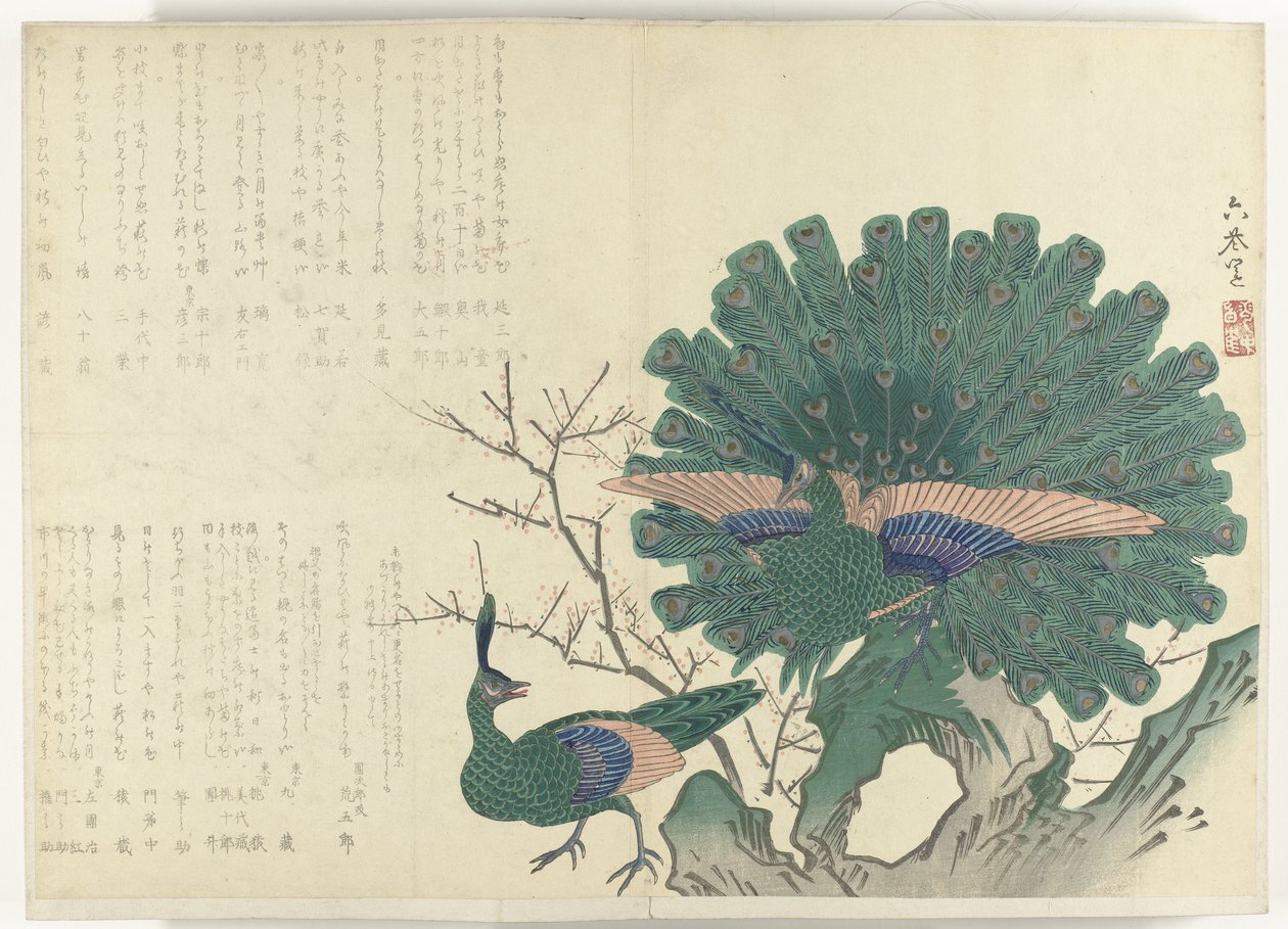 1840-1900 döneminden Tavus Kuşları Albümü Shijo-surimono (seri başlığı) by Anonymous