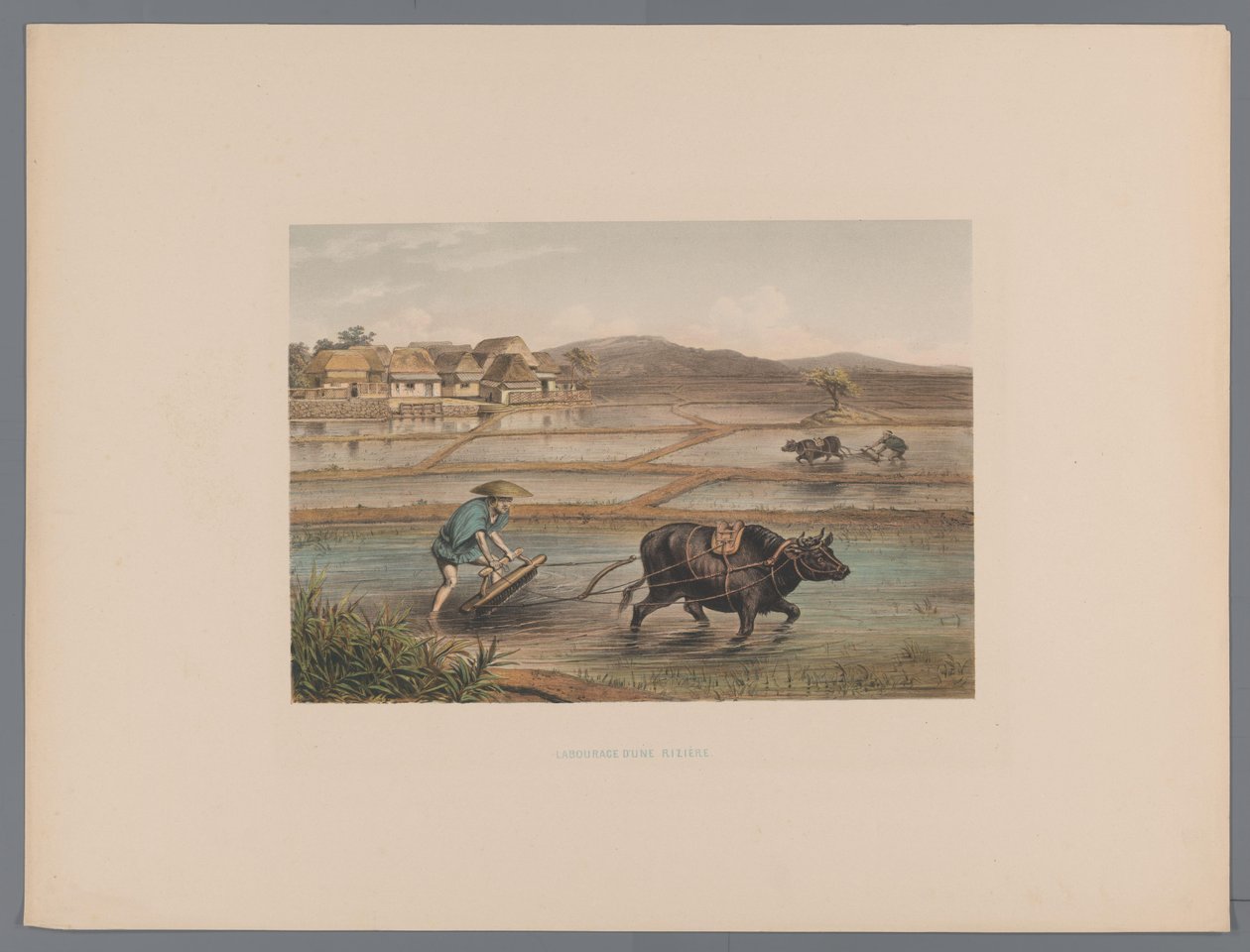 Japon pirinç tarlalarında çiftçilik yapan çiftçiler Laborage d'une riziere (nesne üzerindeki başlık) Souvenir du Japon vues d'après nature avec texte par le comte de Lijnden (seri başlığı) by Anonymous