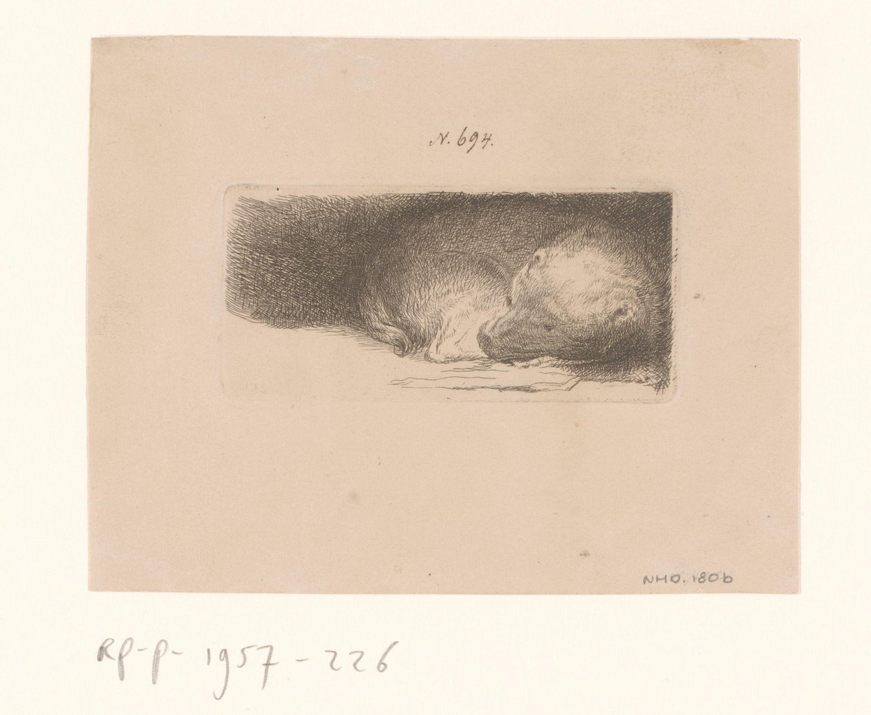 Uyuyan köpek yavrusu by Anonymous