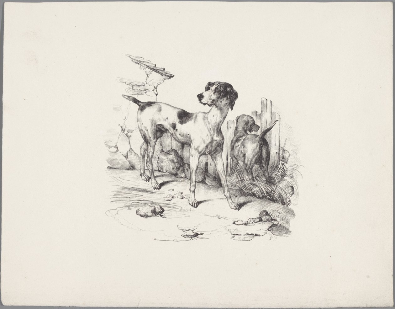Bir çitin yanında iki köpek Altı küçük hayvan çalışması (dizi başlığı) Altı küçük canavar çalışması (nesne üzerine seri başlığı) by Anonymous