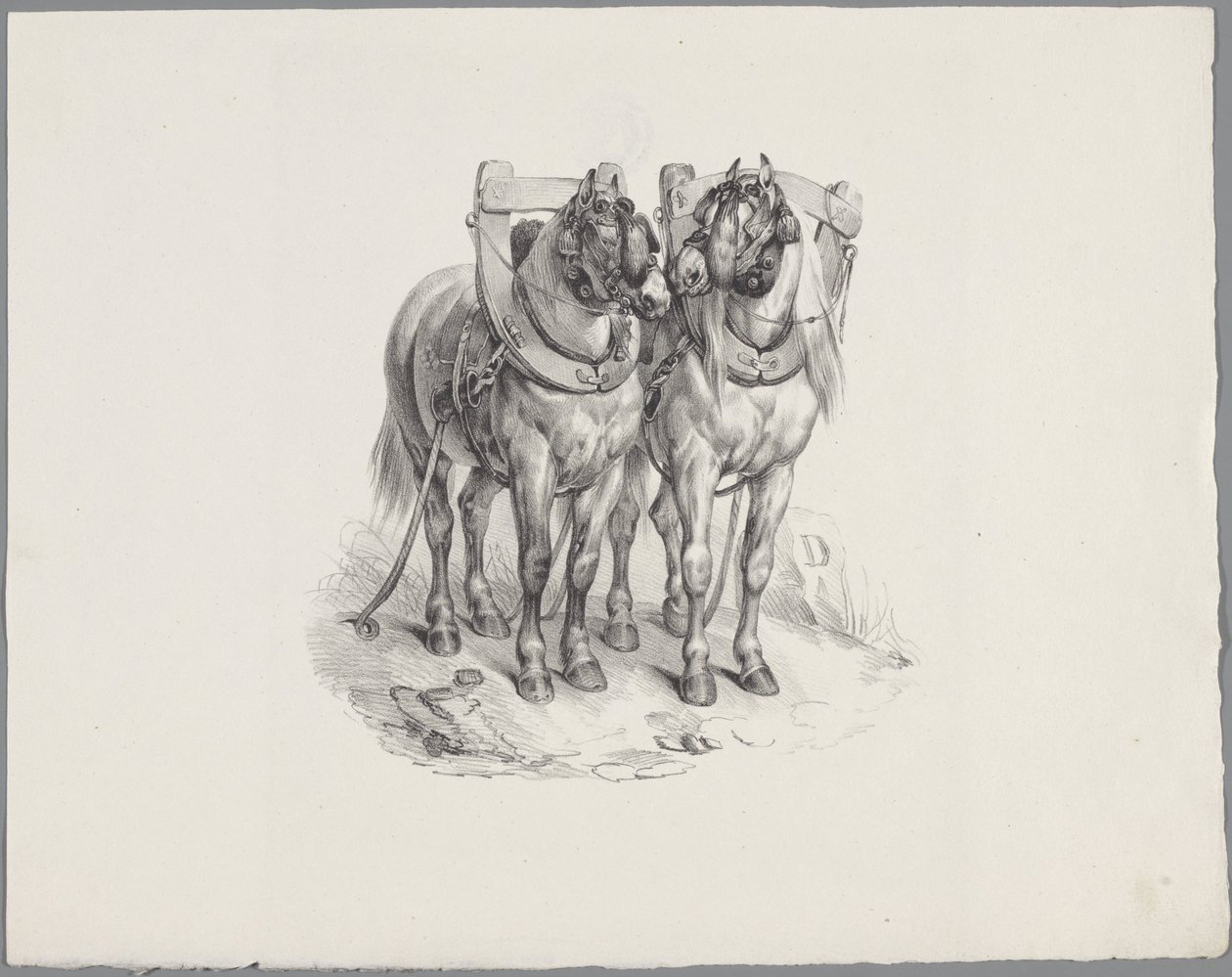 İki bakımlı at Altı küçük hayvan çalışması (dizi başlığı) Altı küçük canavar çalışması (nesne üzerine seri başlığı) by Anonymous