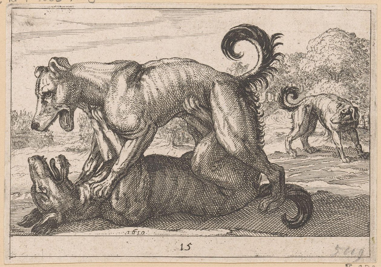 İki çiftleşme ve iki dövüş köpeği Fighting Animals (kopyalar) (dizi adı) by Anonymous
