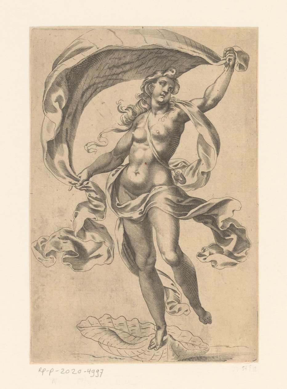deniz venüs by Anonymous