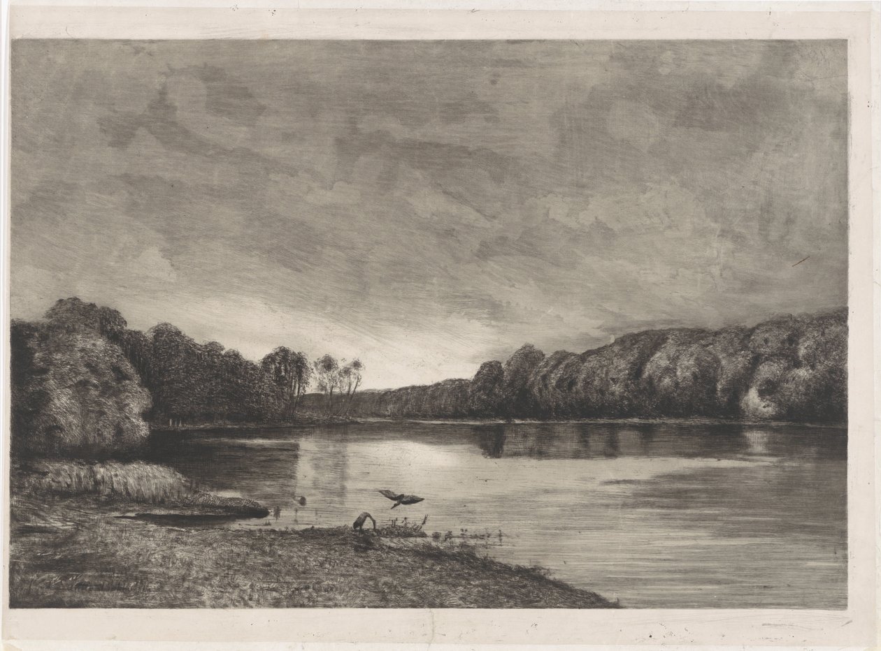 İki balıkçıl ile gölet by Anonymous
