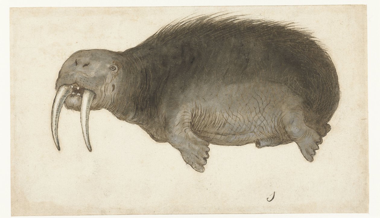 Mors Lombard albümü (seri başlığı) by Anonymous