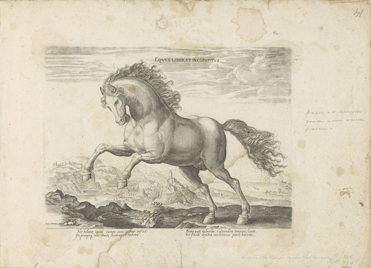 Yabani paard At Kitabı ve Incoposite (nesne üzerindeki başlık) Her türden en asil olan bir at: dünyanın çeşitli yerlerinden seçilen atların seçkin bir karakteri (...) (nesne üzerine seri başlığı) by Anonymous