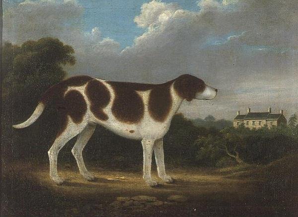 Bir İşaretçi, İlkel Okul by Anonymous Anonymous