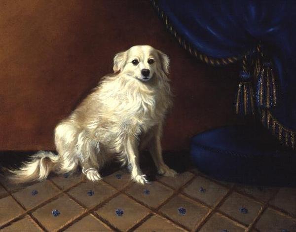 Oyuncak Köpek by Anonymous Anonymous