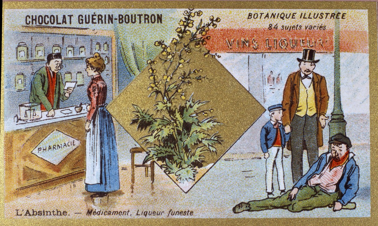 Absinthe: ilaç ve ölümcül likör. Gravür (kromo). 19. yüzyılın sonlarında Guerin-Boutron çikolataları için reklam kromolitografisi. Illustree Botanik Serisi. by Anonymous Anonymous