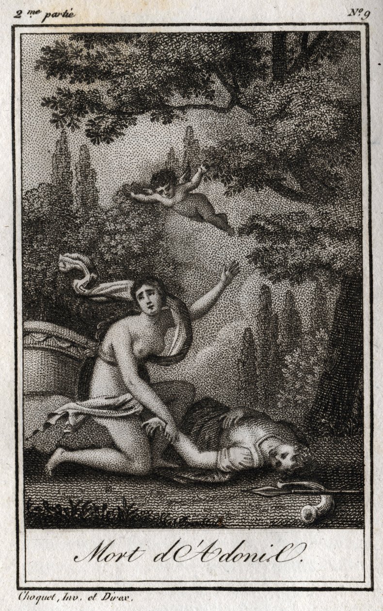 Adonis