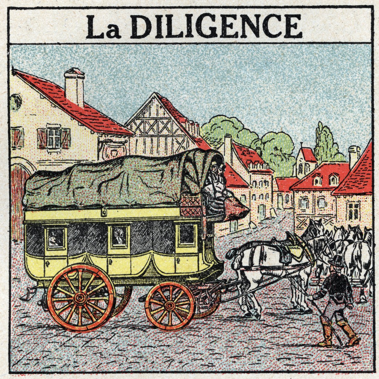Hayvan çekişi: titizlik. 1925