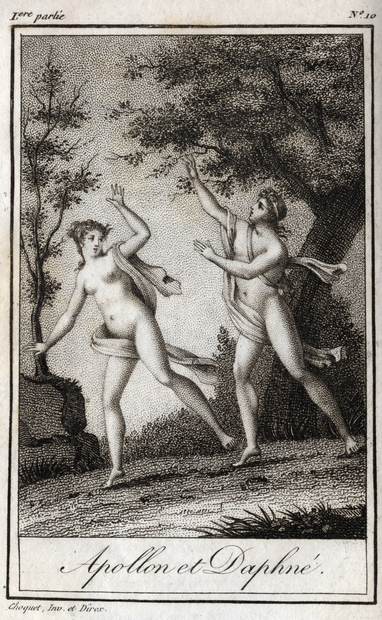 Apollon ve Defne. Peri Daphne, Apollo