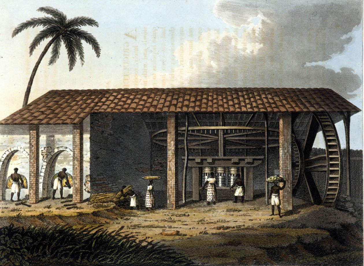 Brezilya, şeker fabrikası - “” Eski ve Modern Kostüm”de” 1819 - 1820, Dr. Jules Ferrario, ed Milan. by Anonymous Anonymous