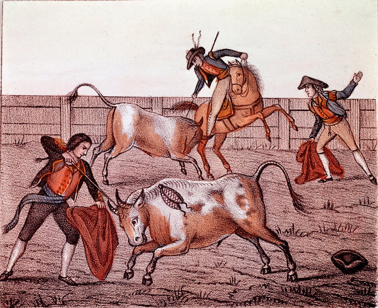 Boğa Av Sahnesi (boğa güreşi) 18. Yüzyıl Suluboya Özel Koleksiyonu by Anonymous Anonymous