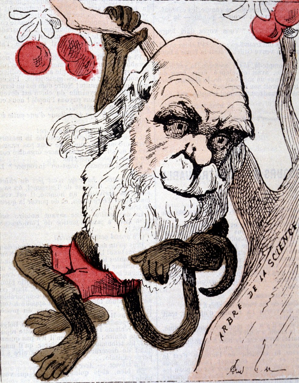 Charles Robert Darwin