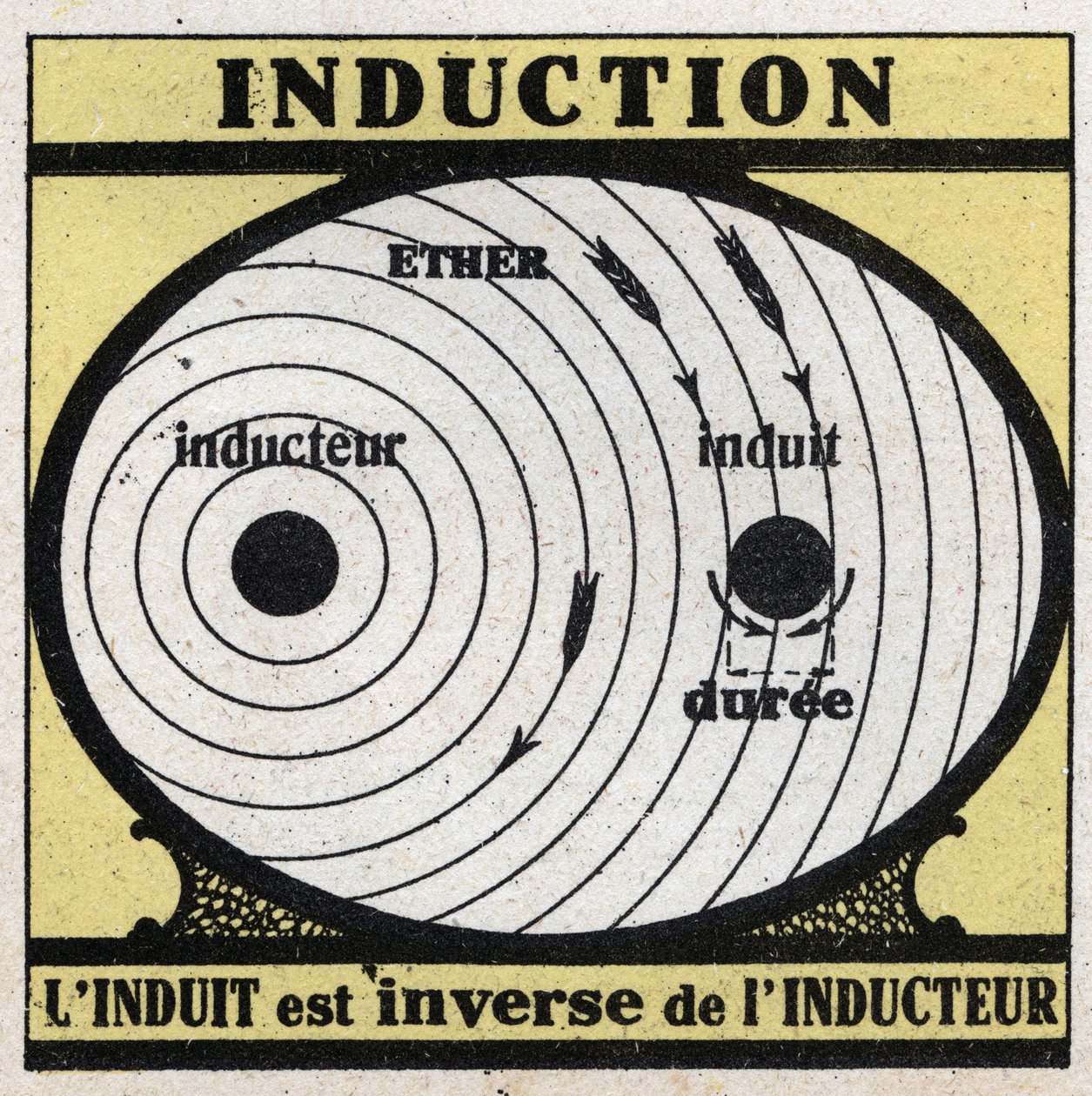 Elektriksel olaylar: indüksiyon. İndüklenen, indüktörün tersidir. 1925