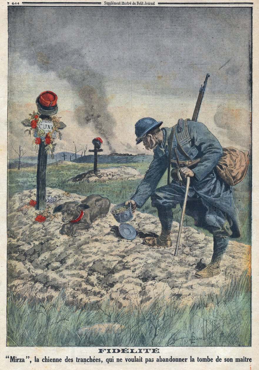 Birinci Dünya Savaşı 1914-1918 (14-18 Savaşı). Ölen efendisinin mezarını siperde terk etmeyi reddeden bir köpek. “” Le Petite Journal””da, 10/09/1916. Özel koleksiyon by Anonymous Anonymous