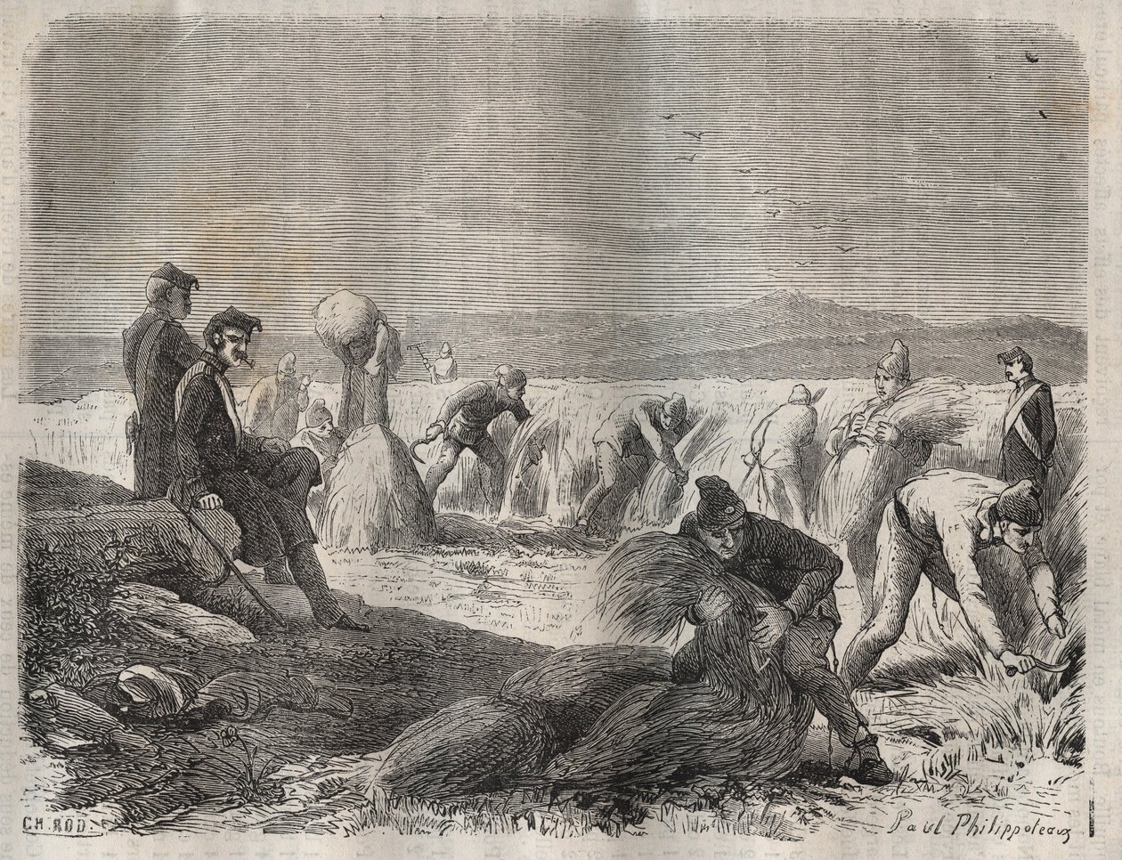 19. yüzyılda Belle-Ile-en-Mer (denizdeki güzel ada) hapishanesinde hasat kuvvetleri. Pierre Zaccone (1817-1895) (Colonia Penale - Ceza kolonisi). Özel koleksiyon. by Anonymous Anonymous