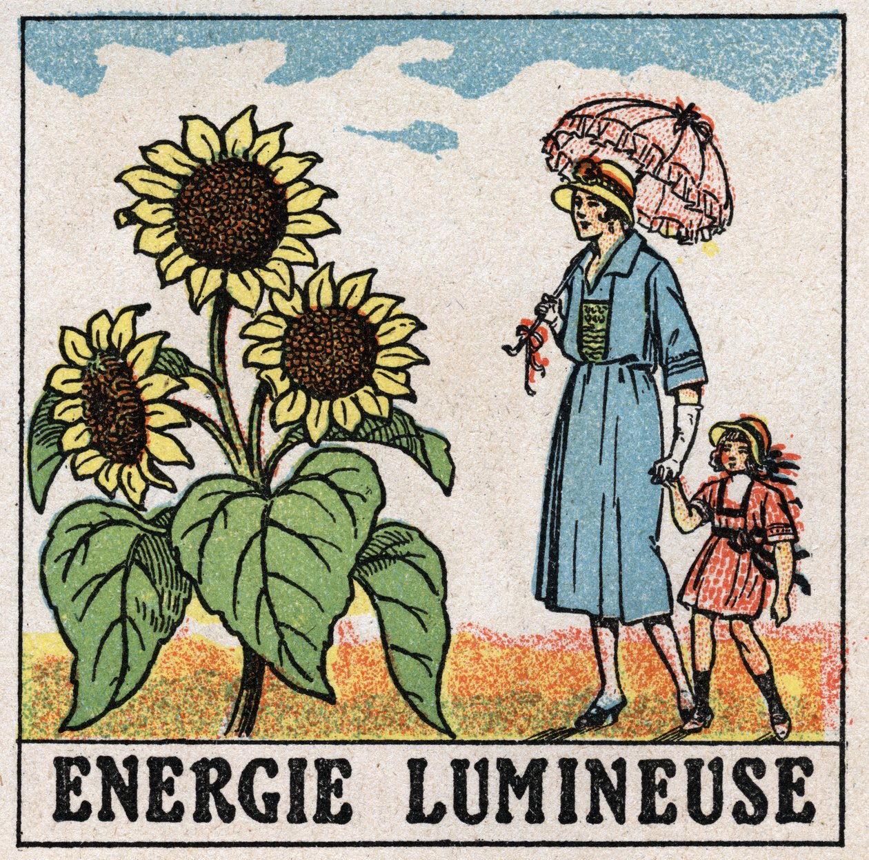 Işık enerjisi: Ayçiçeği güneş ışığından etkilenir. 1925