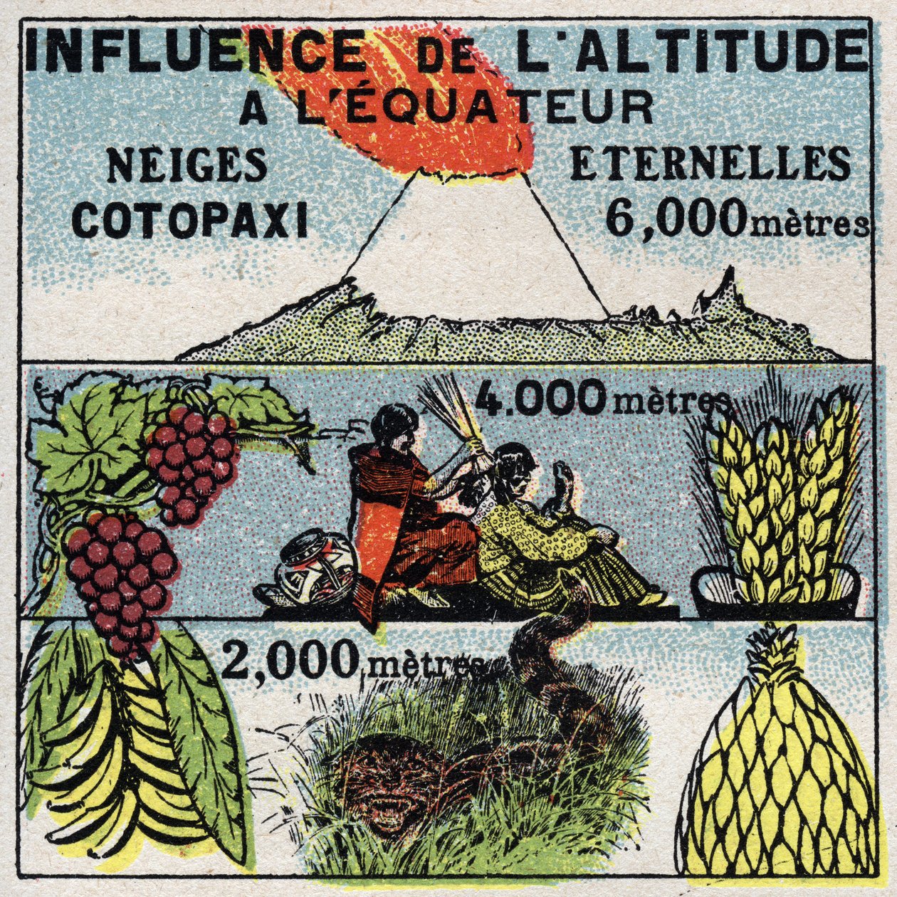 Meteoroloji: Yüksekliğin iklim üzerindeki etkisi. 1925