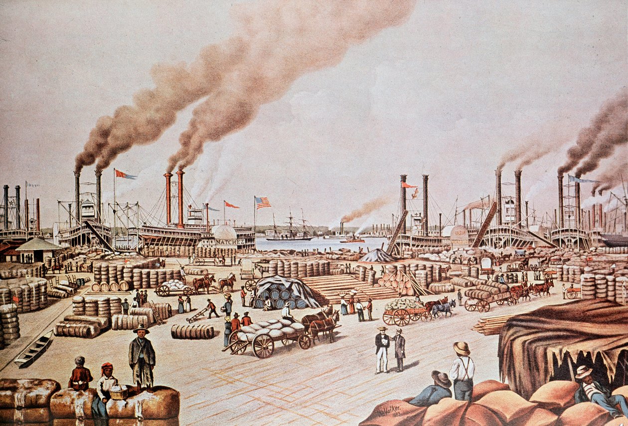 New Orleans Harbour Wharf (Amerika Birleşik Devletleri): Pamuk Yükleniyor. 1876. Özel koleksiyon. by Anonymous Anonymous