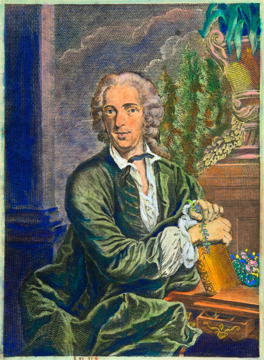 Carl Von Linne (1707-1778) İsveçli doğa bilimci portresi - Privee Collection by Anonymous Anonymous