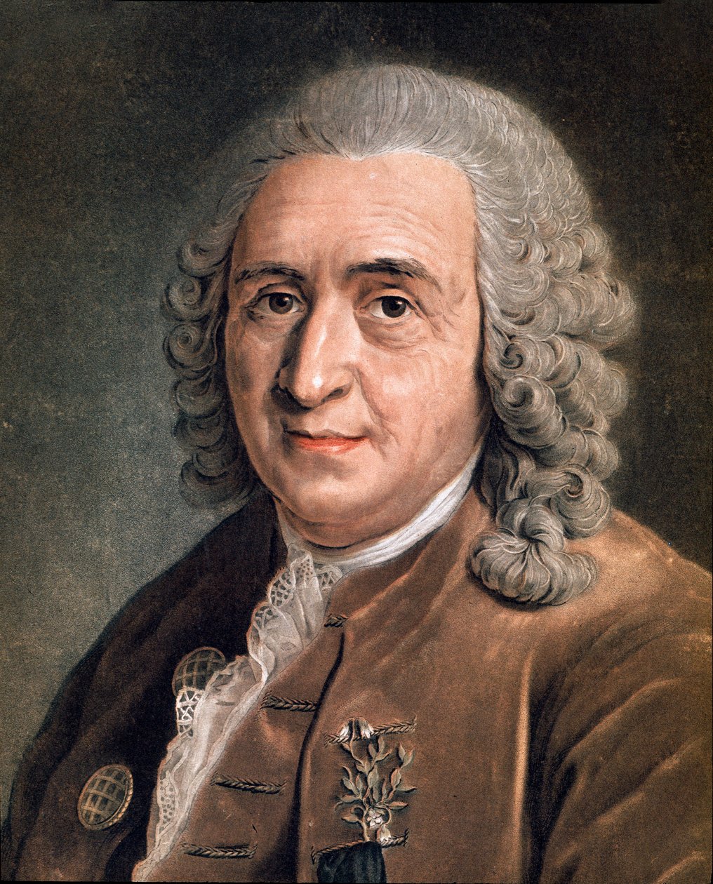 Charles Linne
