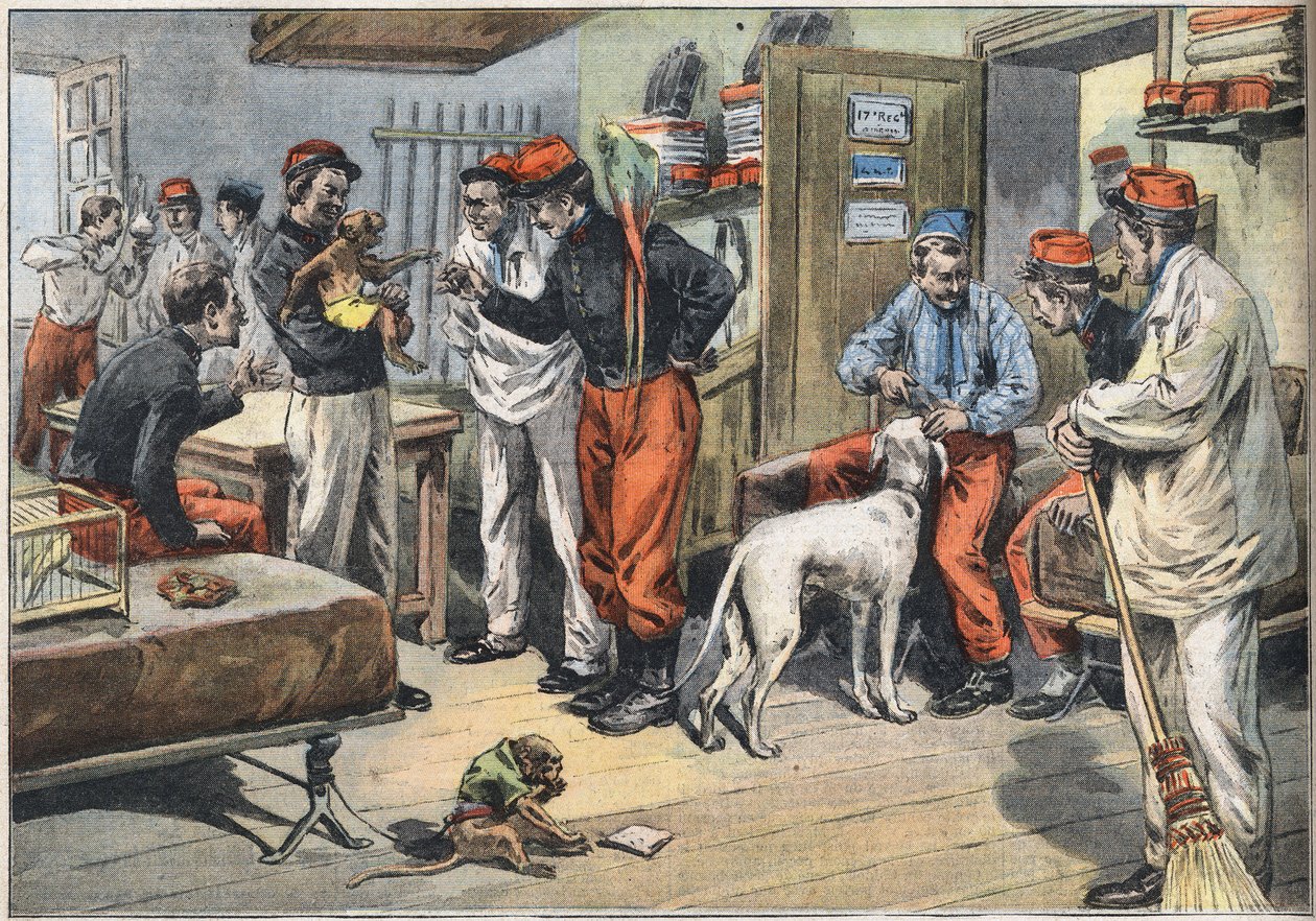 Afrika'dan dönen Fransız ordusu askerleri Tunus'a gönderdi. “Le Petité Parisien” gazetesinden gravür, 7/06/1908. Özel koleksiyon. by Anonymous Anonymous