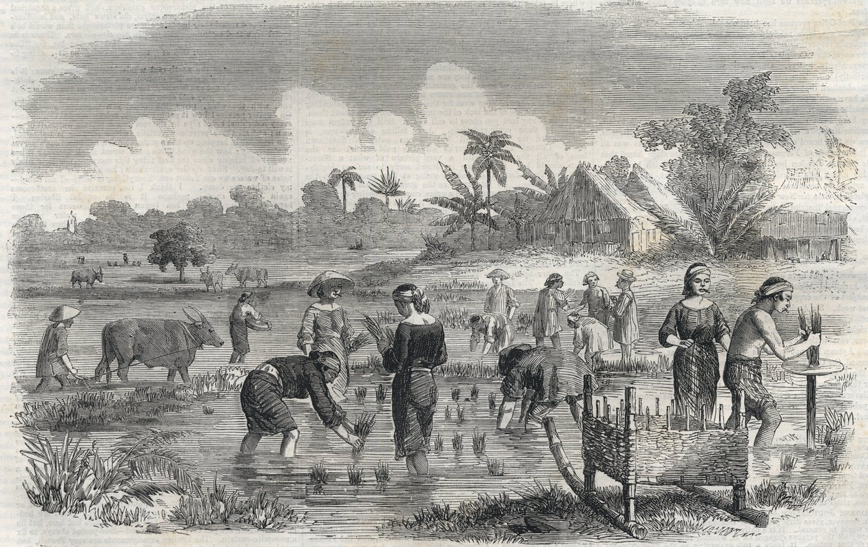 1864