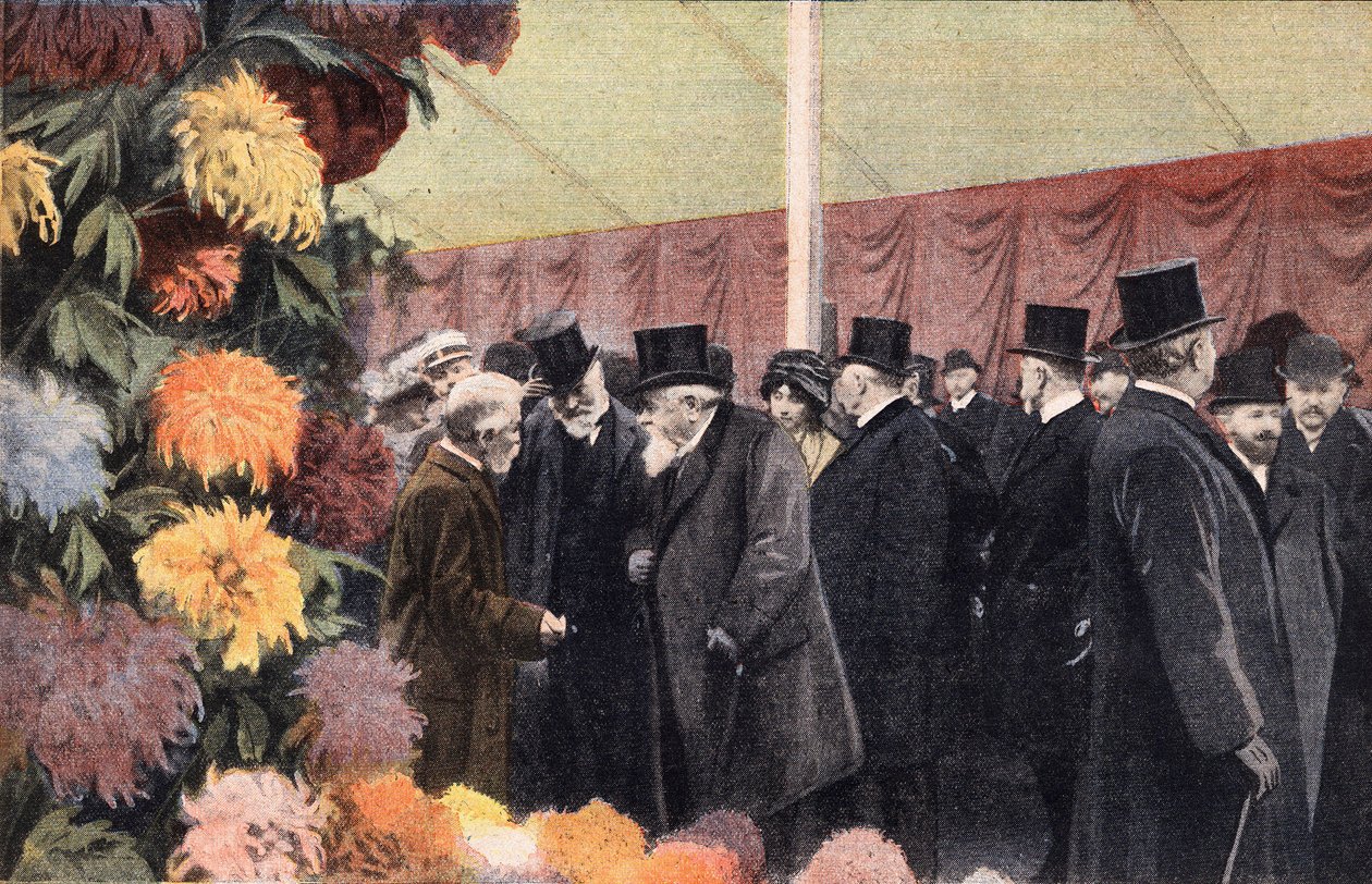 Krizantem partisi: resmi krizantem sergisi. Oymak. 20.11.1910 tarihli “Le petit parisien” gazetelerinden biri. Özel koleksiyon. by Anonymous Anonymous