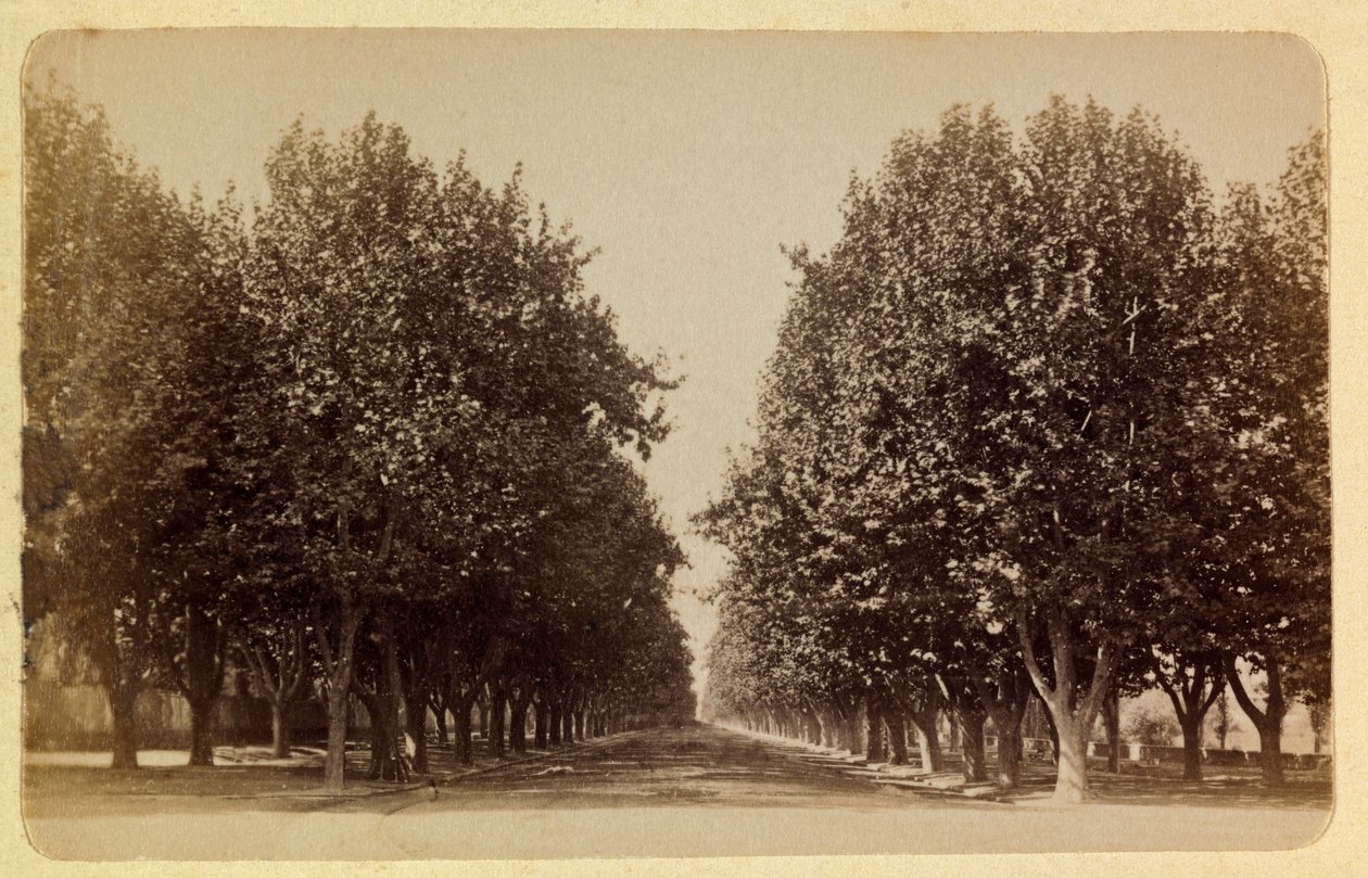 1885-1890 civarında Marsilya şehri ve çevresi: Prado, Özel koleksiyon by Anonymous Anonymous