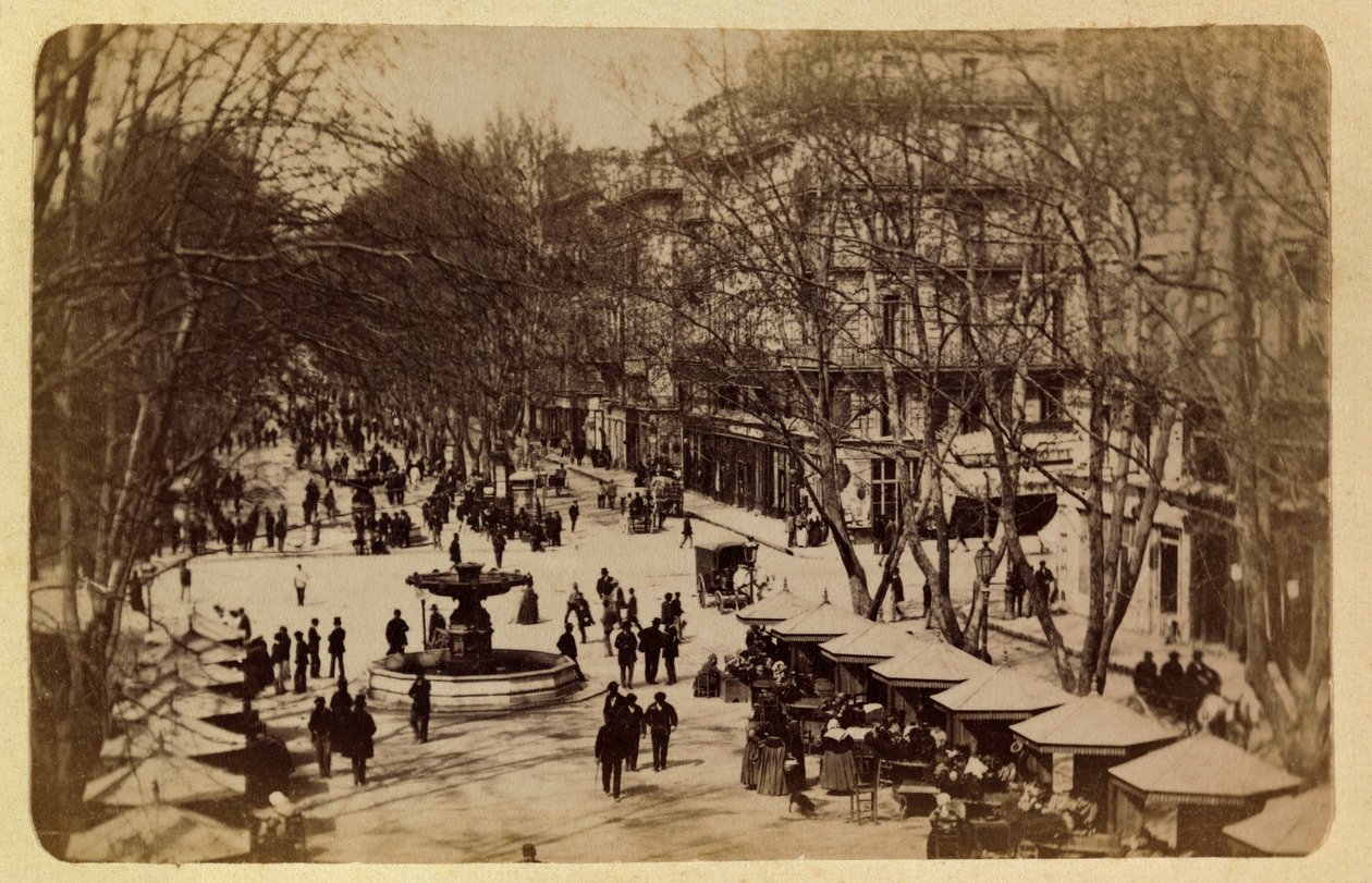 1885-1890 dolaylarında Marsilya şehri ve çevresi: Çiçek Yürüyüşü, Saint Louis Kursları, Özel Koleksiyon by Anonymous Anonymous