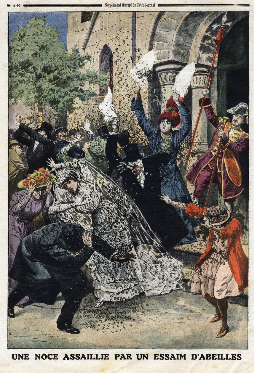 Düğüne bir arı sürüsü saldırdı. Gravür, 28/07/1912 tarihli “Le Petite Journal””. Özel koleksiyon. by Anonymous Anonymous