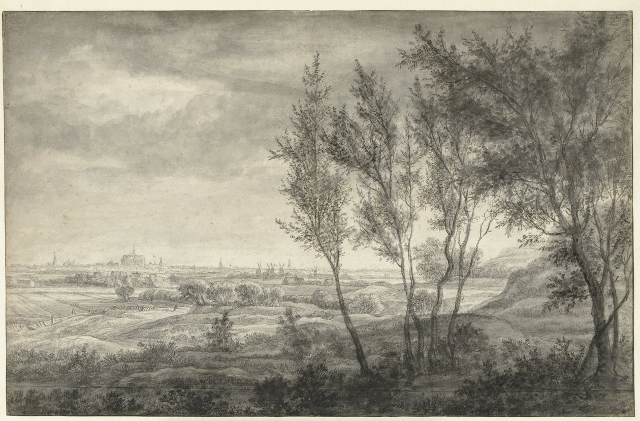Haarlem'in kum tepelerinden görünüm by Anthonie Waterloo