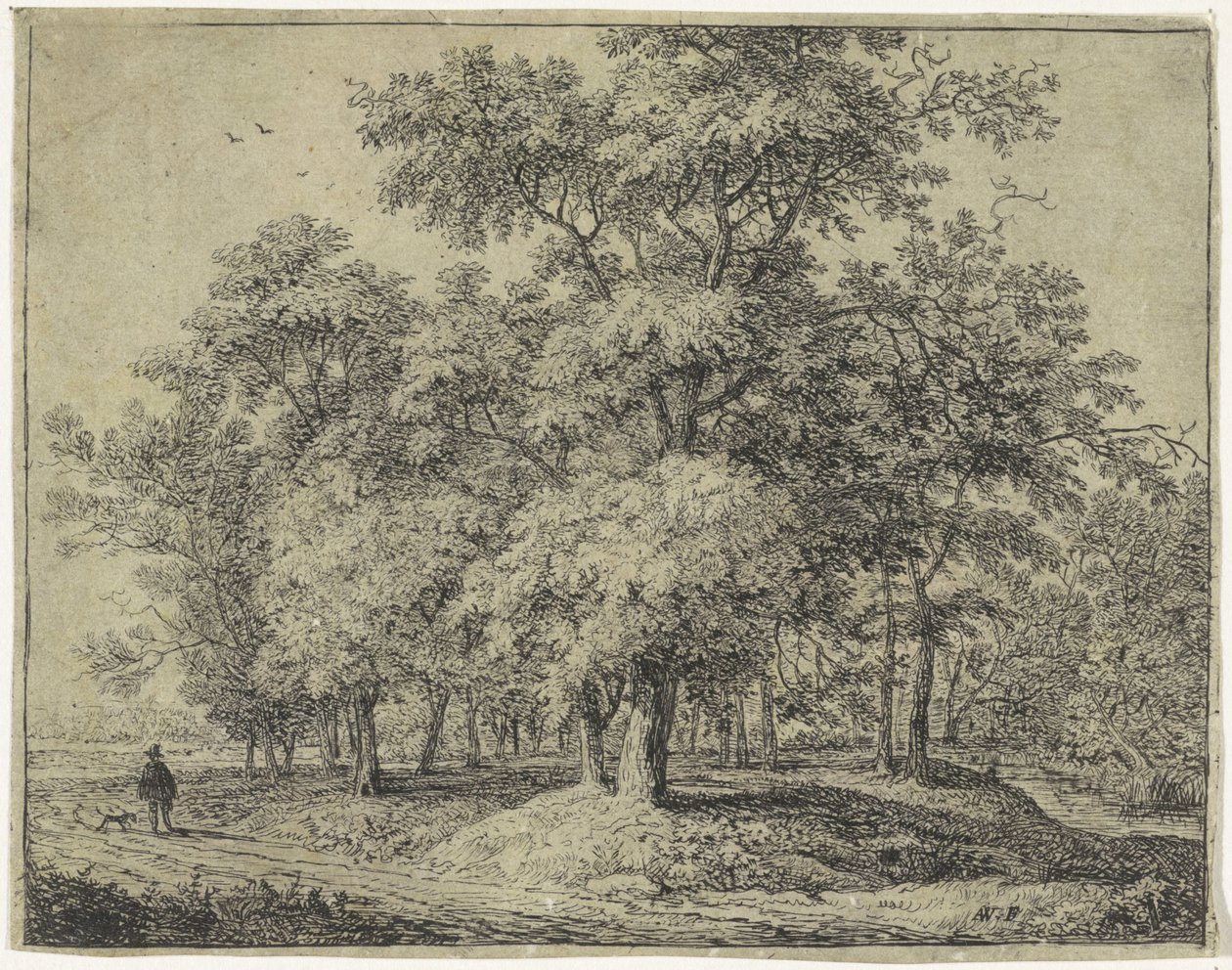 Bir ormanda köpekli adam Forest Views, A serisi (dizi başlığı) by Anthonie Waterloo