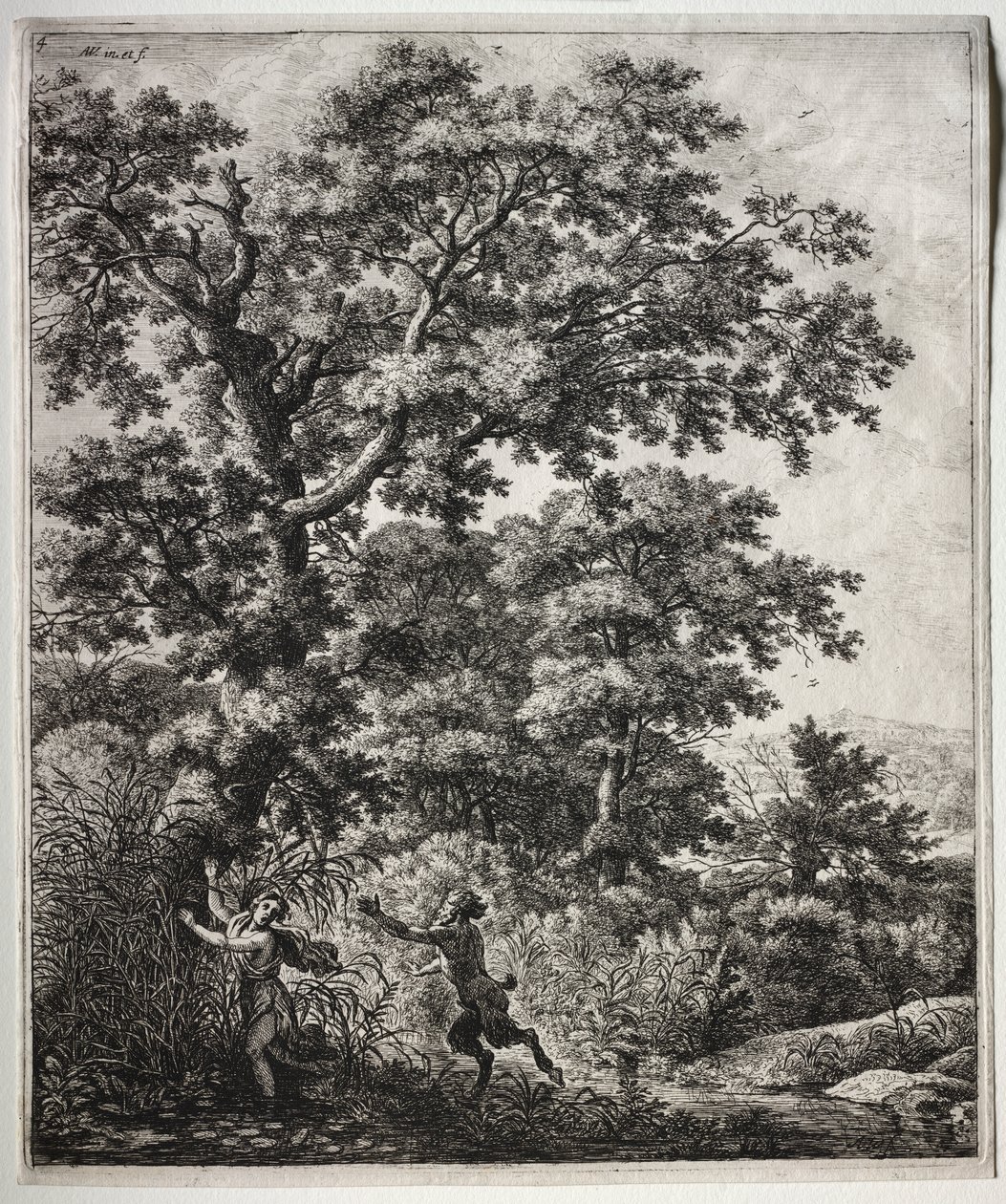 Ovid