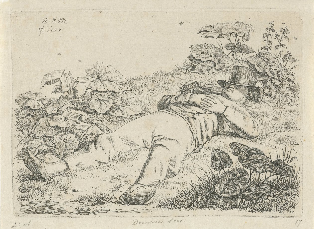 çimenlerde yatan adam Drentsche çiftçisi (nesne üzerindeki başlık) by Anthonie Willem Hendrik Nolthenius de Man