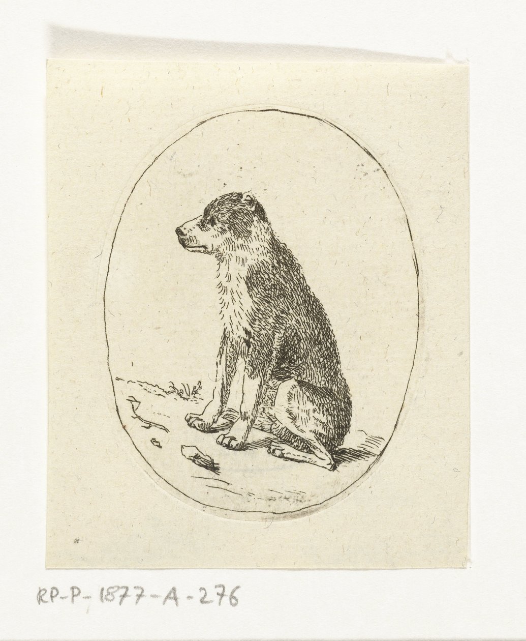oturan köpek by Anthonie van den Bos