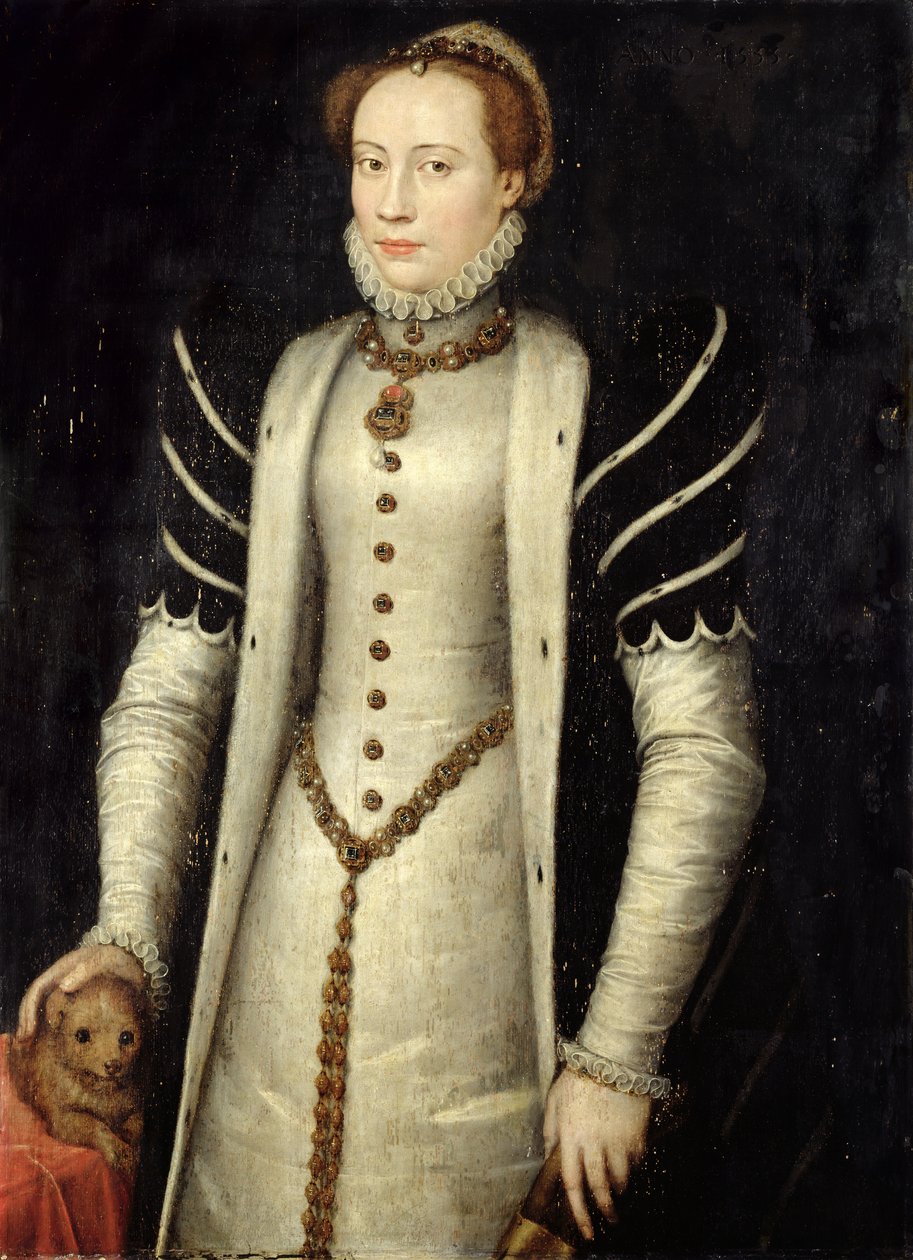Köpekli Bir Soylu Kadının Portresi, 1555 (meşe panel üzerine yağlı boya) by Anthonis Mor