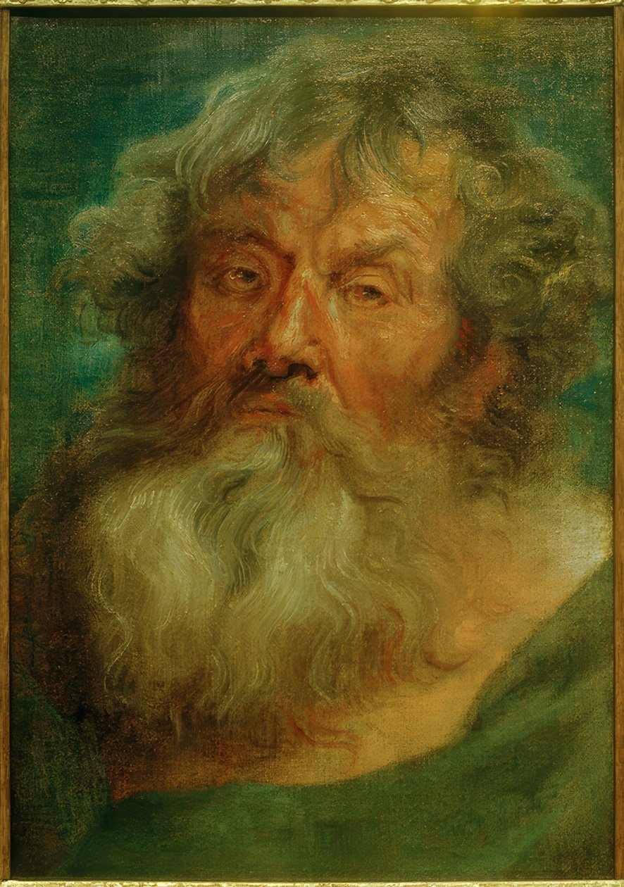 Yaşlı bir adamın başı by Anthony van Dyck